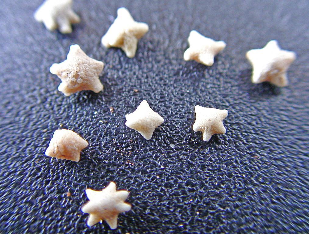 Star Sand Beach Resort Sekotong Luaran gambar
